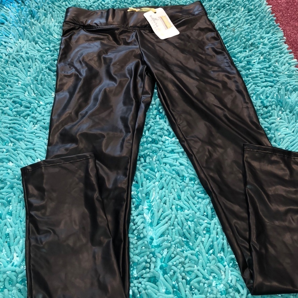 NWT Vizio Pants